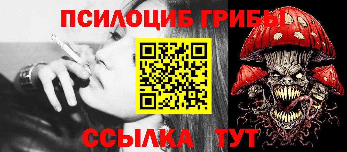 Галлюциногенные грибы Psilocybine cubensis Полысаево